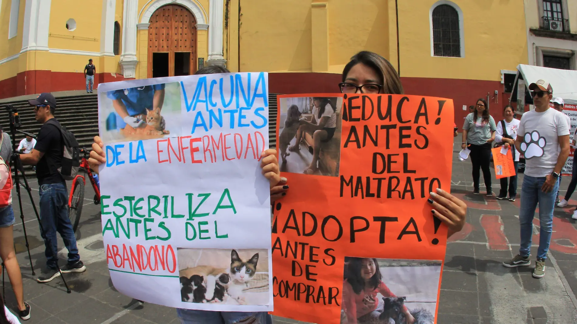 Protectores y rescatistas exigen respeto a derechos de los animales; marchan en Xalapa